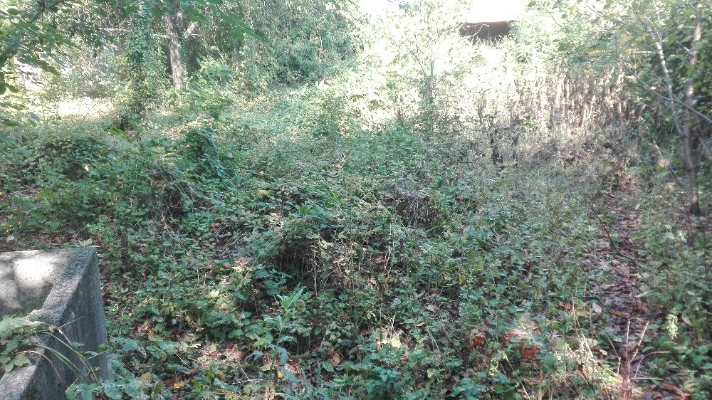 Косене на трева в градини,дворове,вили,парцели.Почистване и извозване.