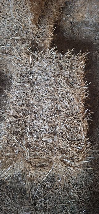 Сабан прес сатылады