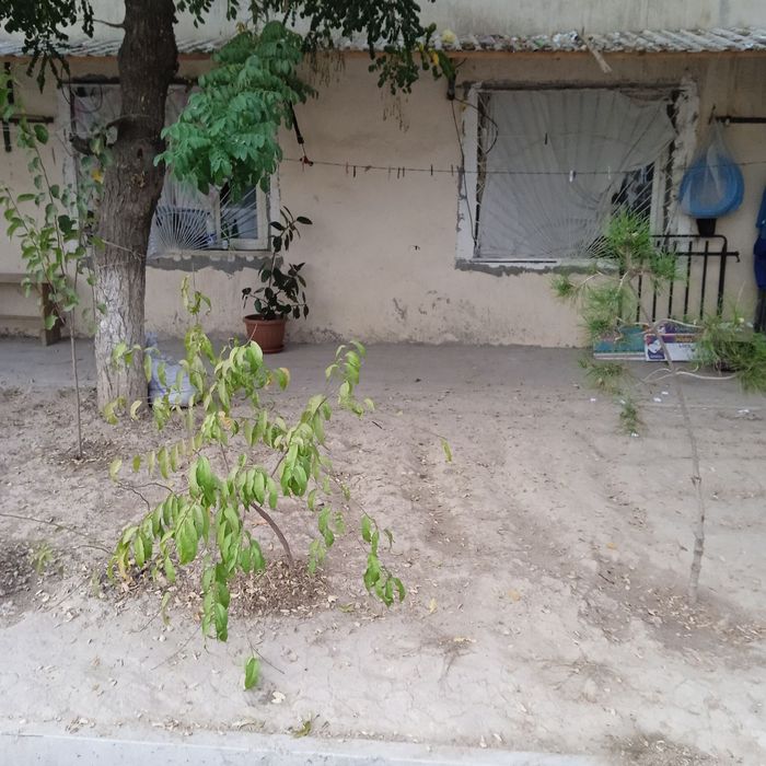 Dom sotiladi chuqursoyda