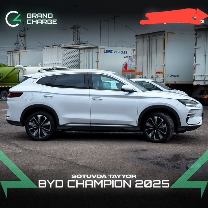 Byd champion 2025