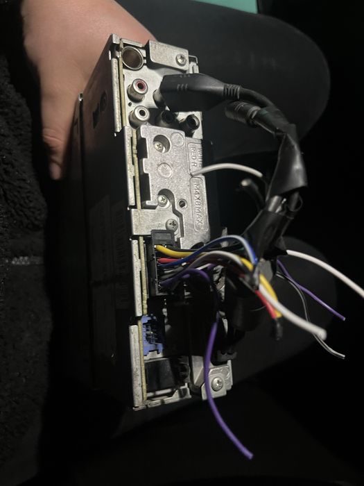 Pioneer дельфин