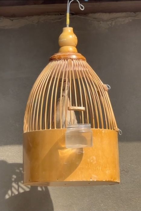 Italiya bedanala sotiladi, Италия беданала сотилади