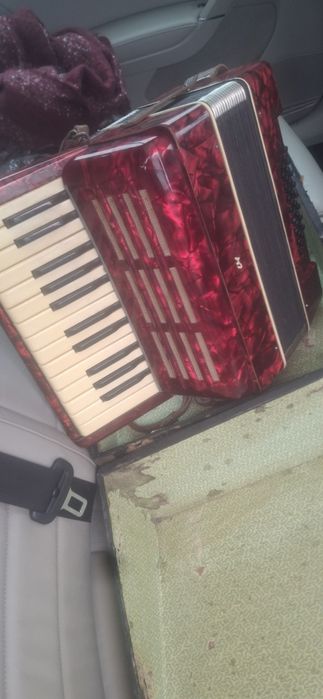 Acordeon vintige