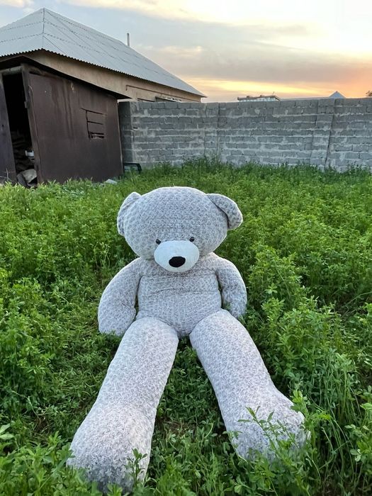 Мишка. жұмсақ  2 метр