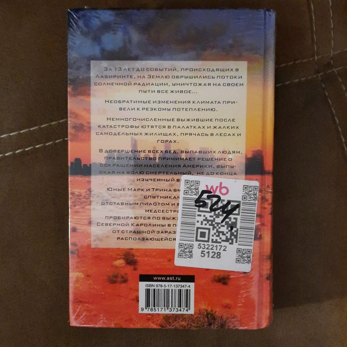 Книга "Бегущий в лабиринте"