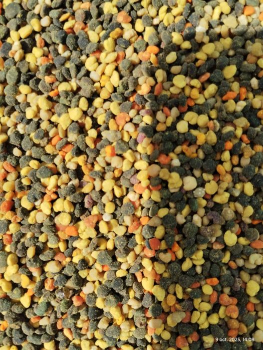 Polen crud, congelat 60 lei/kg Livram sambata in Bucuresti