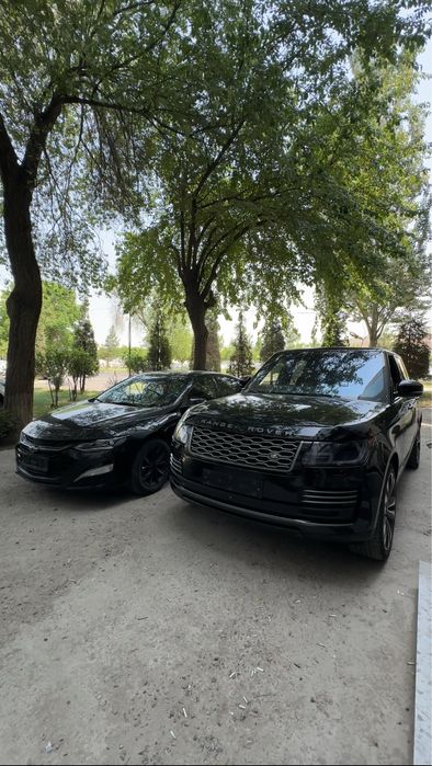 Rent a car / Avtoprokat / Bez KM