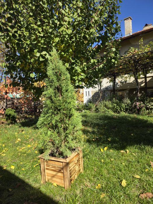 Дървени кашпи, декоративни саксии