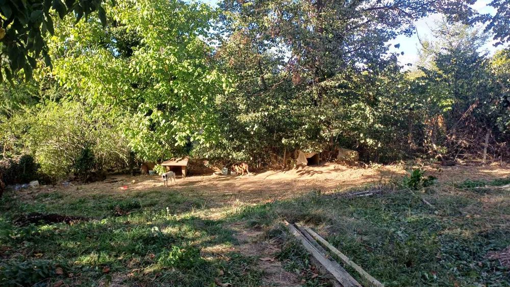 Продава се къща с дворно място