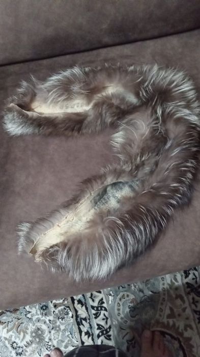 Продам  воротник чернобурки длина 45 см