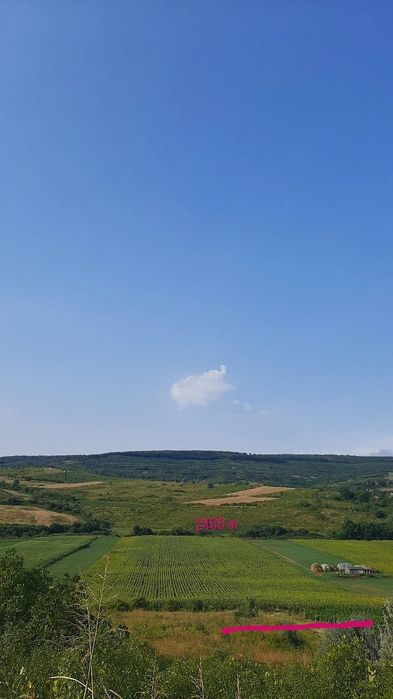 Teren intravilan Goruni-Tomesti