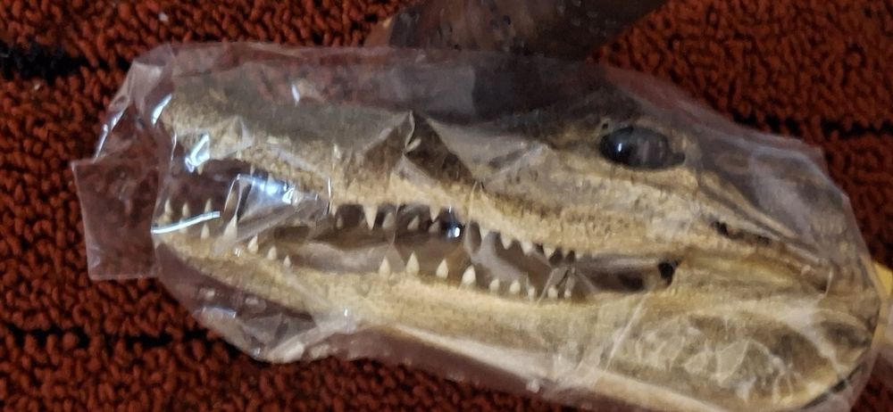 Тенис Ракета LACOSTE Франция