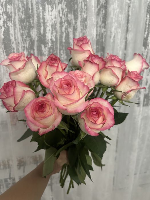 Цветы свежие роза