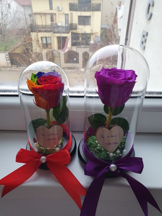 Trandafir criogenat conservat mov