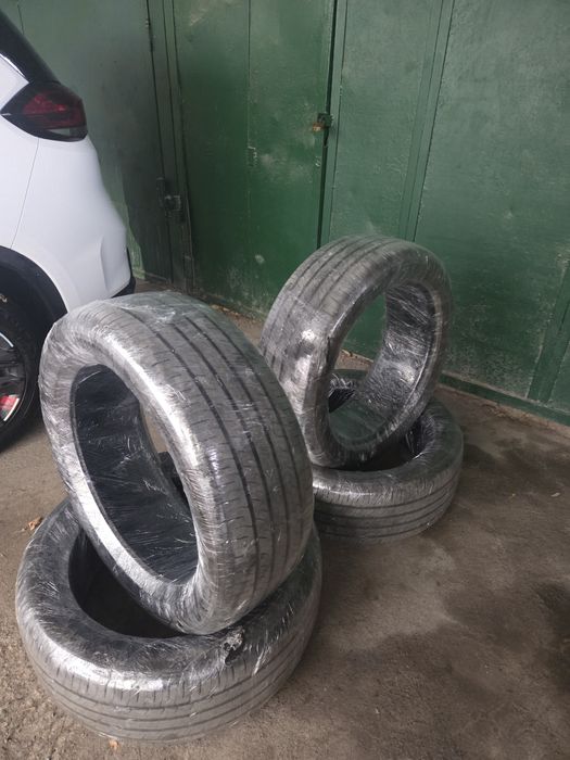 BYD Champion new 2026