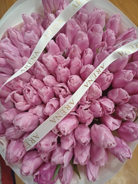 101 тюлпанов свежие