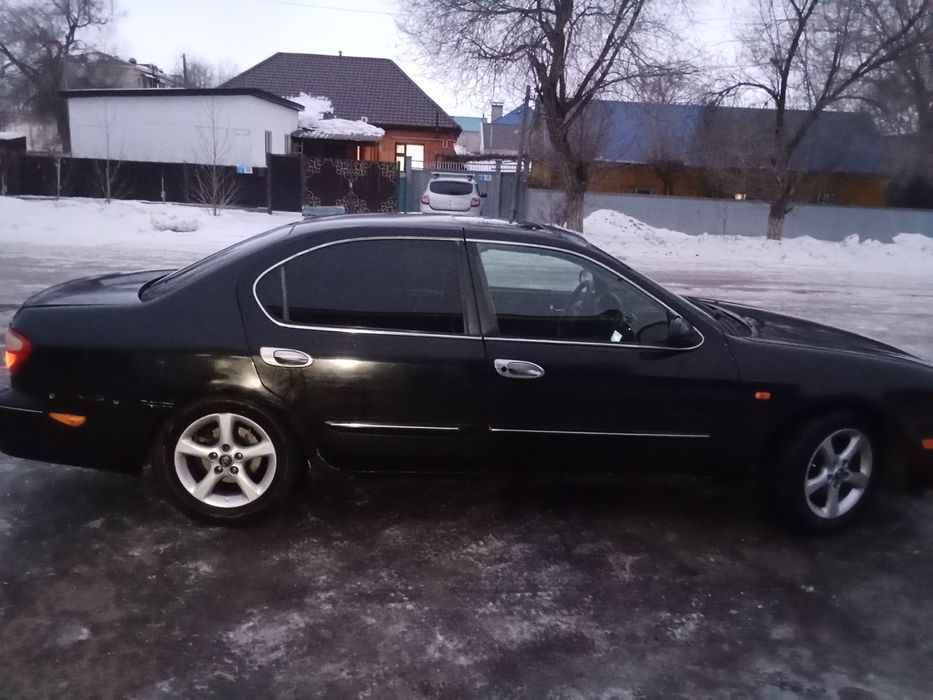 Максима сатылады