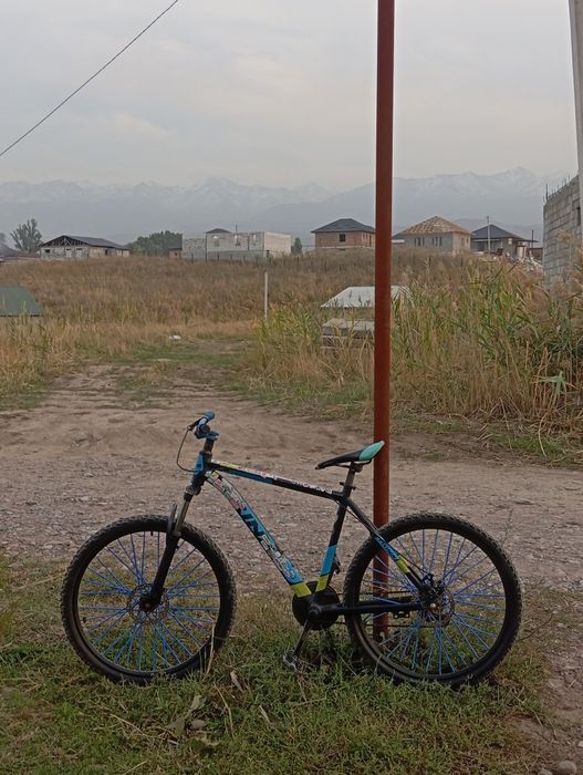 Тринкс стант велик