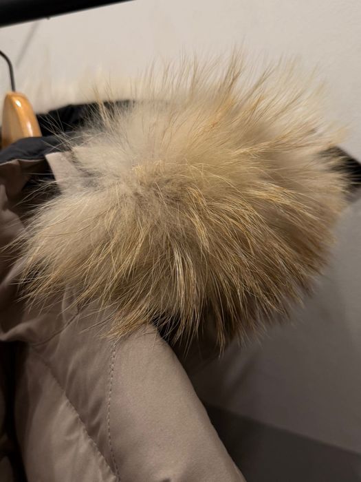 Canada Goose Arctic Program