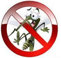 Maskitniy setka, karniz, remont jalyuzi! To'lov istalgan tartibda!