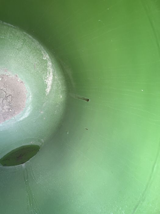 Продам ескость для   воды