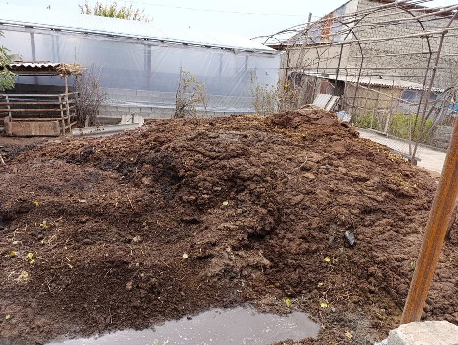 Пори тозза мусири йук