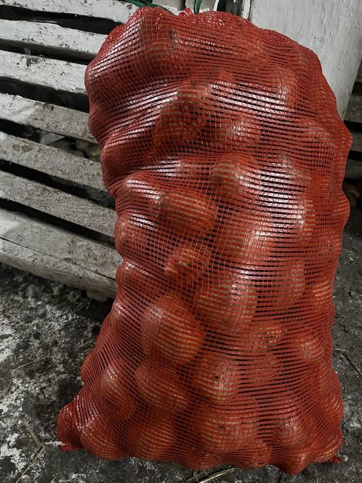 Продам картофель