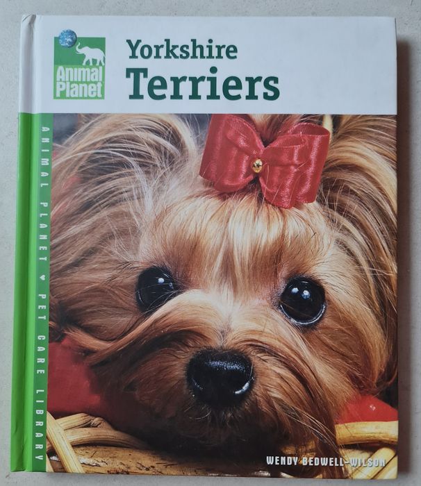 Carti training Yorkshire Terrier