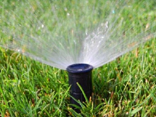 Gazon. Rulou. Sisteme. De irigații