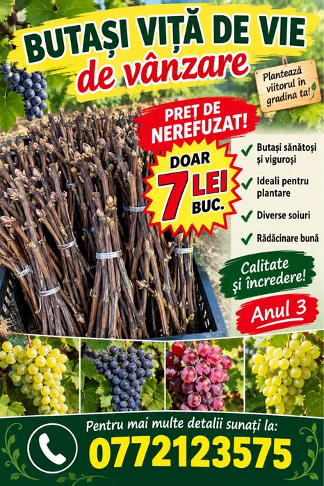 Butasi vita de vie