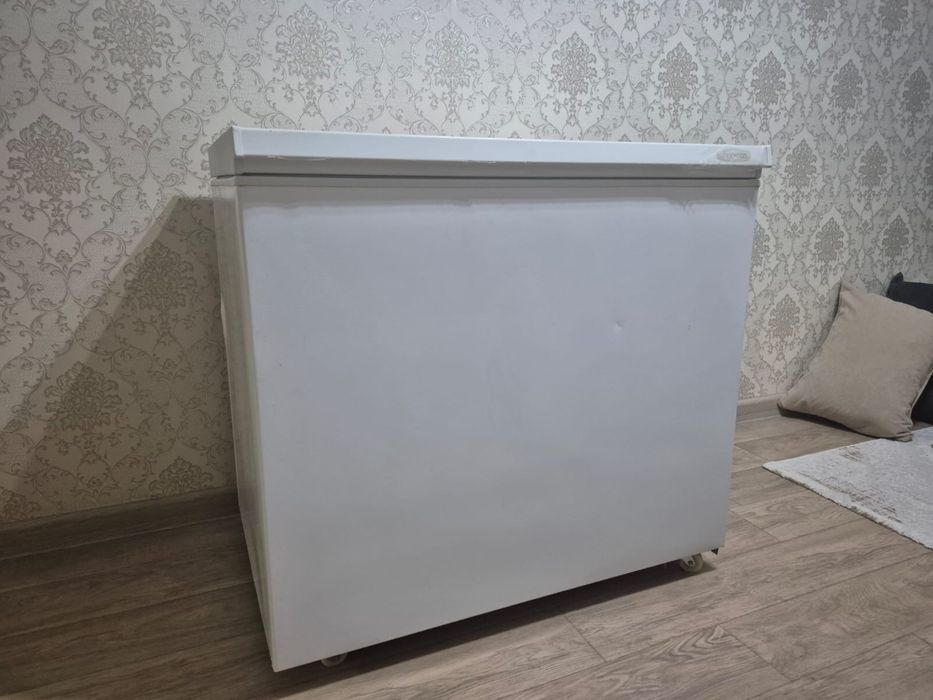 Маразмльгая камера Бирюса