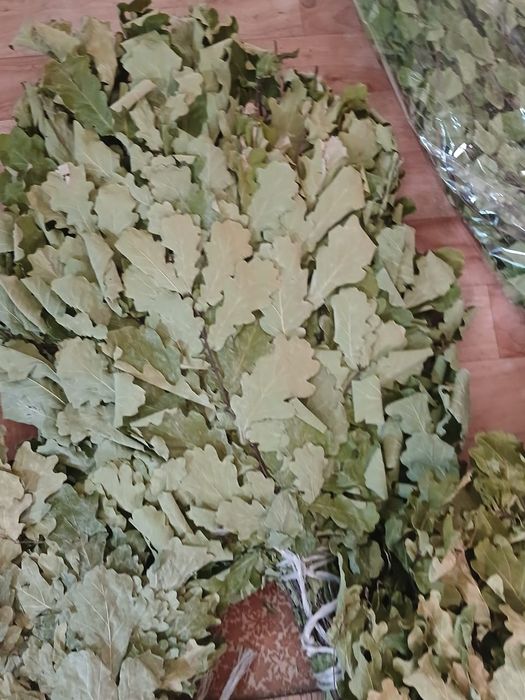 Веники банные  дубовые и берёзовые