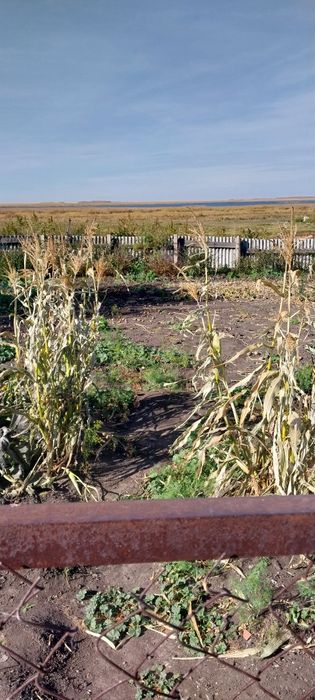 Продам дом в деревне