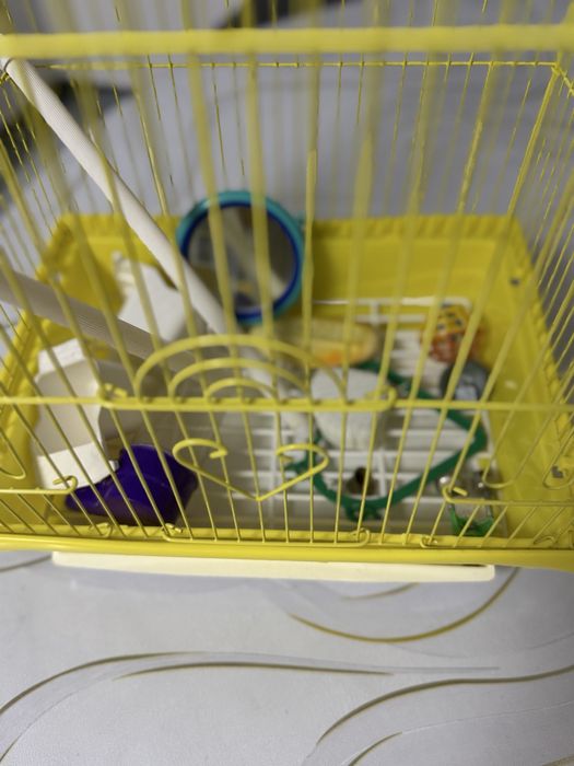 Клетка для попугая