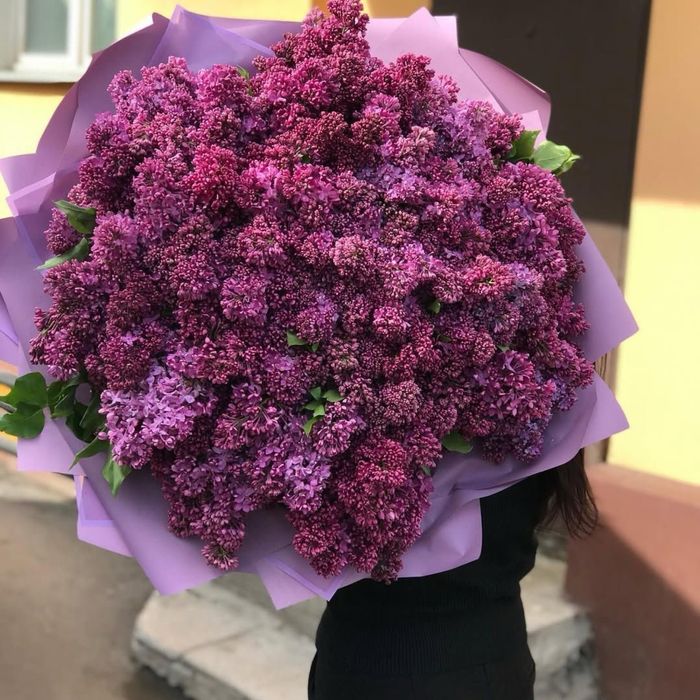 Букет сирени свежая