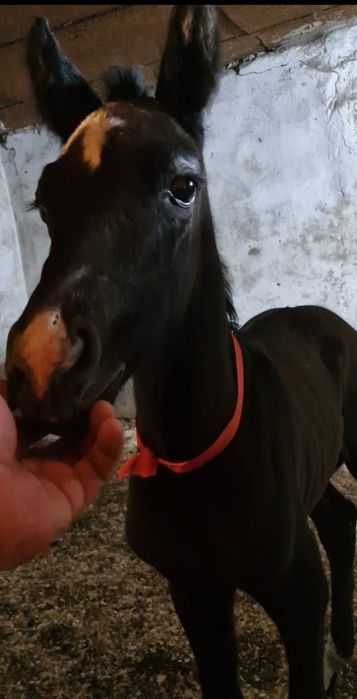 Находимся в Темиртау