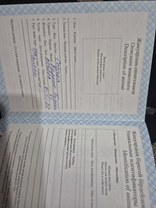 Продается очаровательный щенок!
