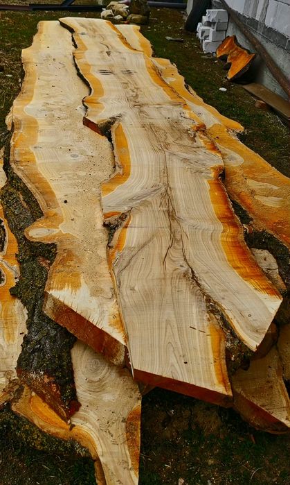 Vând dulapi cireș 6 m pe 5 cm