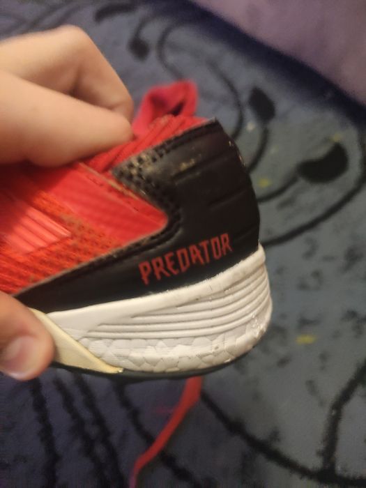 Срочно продам сороконожки предатор