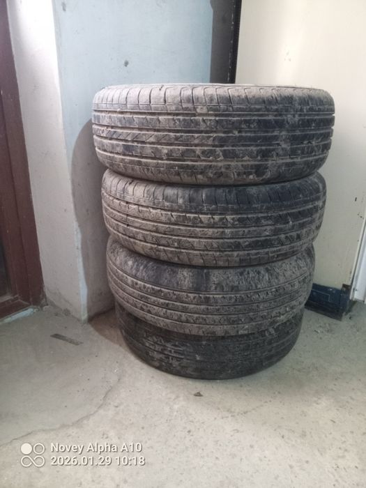 4 дона барс балон холати яхши