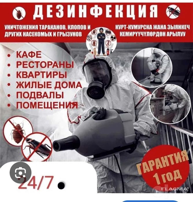 Дезинфекция Самые Дешёвые Цены У Нас 100% Профисионалы