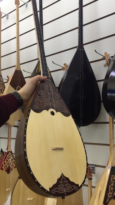 Домбыра кәсіби және әуесқой