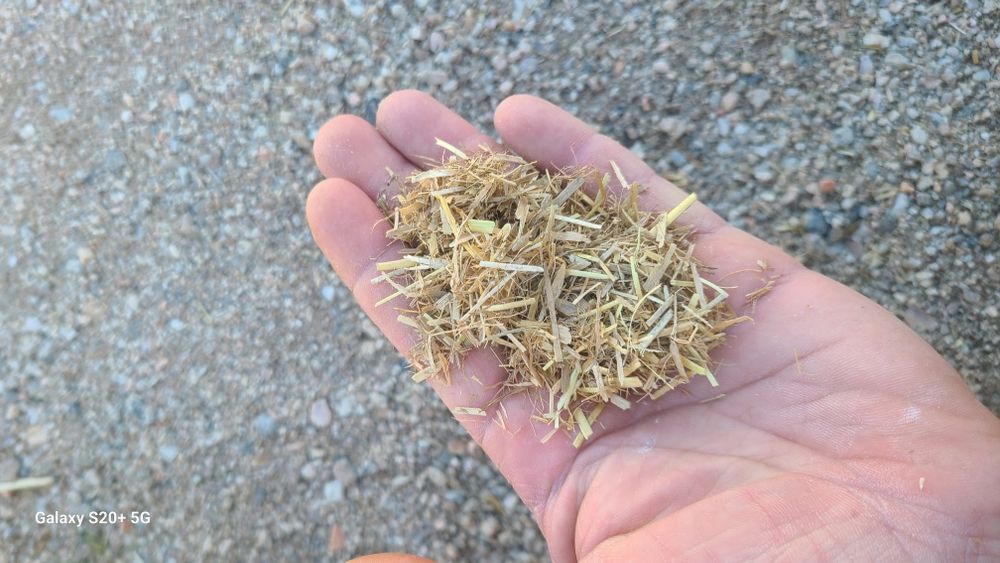 Somon pires va maydalangani