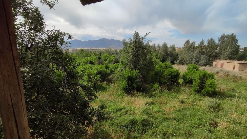 Yer sotiladi 45 sotix