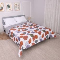 Шалтета Дулицеви