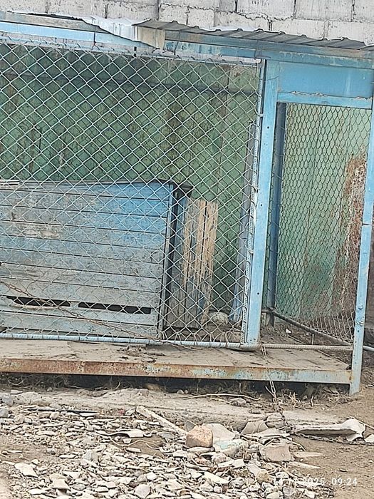 Вальер для собаки