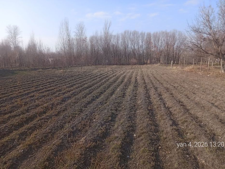 Xitoypoyonda yer sotiladi