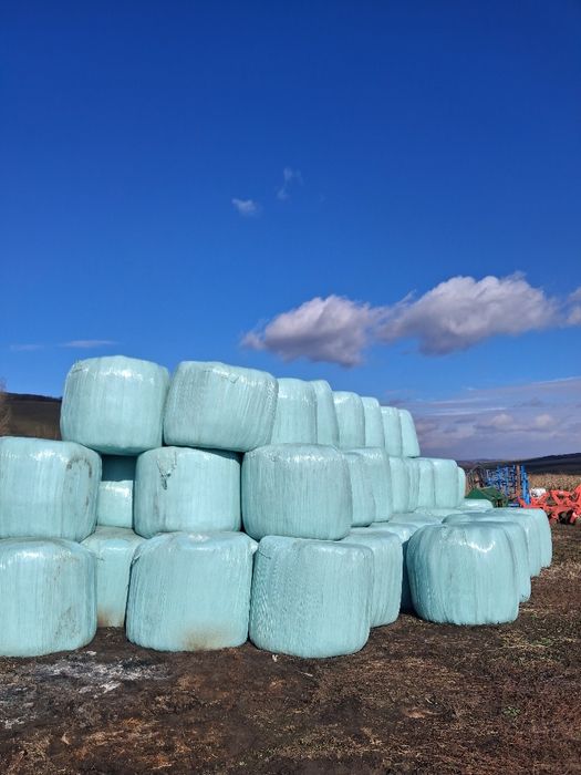 Vând baloți înfoliați semi uscați de 120