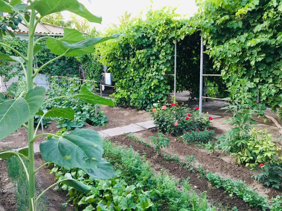 Karatau, үй сатылады!