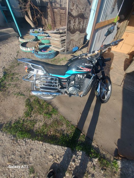 Продам любимчика в хорошие руки